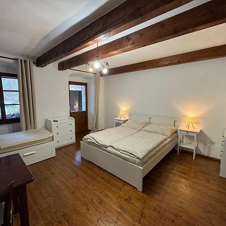 Penzion U Dvou Kocek Rozmberk Nad Vltavou Exterior photo